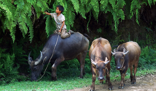立志當(dāng)立天下志，求名當(dāng)求萬世名(圖1)
