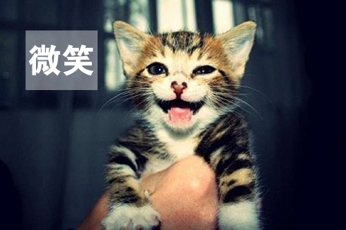 用心感受世界，因活著而幸福(圖1)